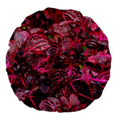 Red Leaves Plant Nature Leaves Large 18  Premium Flano Round Cushions