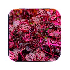 Red Leaves Plant Nature Leaves Square Metal Box (black)