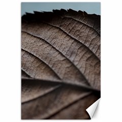 Leaf Veins Nerves Macro Closeup Canvas 20  X 30  by Amaryn4rt