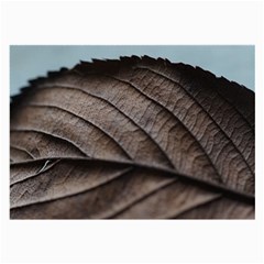 Leaf Veins Nerves Macro Closeup Large Glasses Cloth by Amaryn4rt