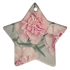 Cloves Flowers Pink Carnation Pink Ornament (Star)