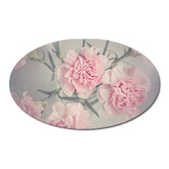 Cloves Flowers Pink Carnation Pink Oval Magnet by Amaryn4rt