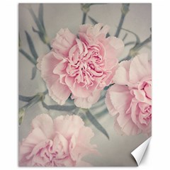 Cloves Flowers Pink Carnation Pink Canvas 11  x 14 