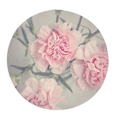 Cloves Flowers Pink Carnation Pink Pop Socket (white) by Amaryn4rt