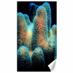 Photo Coral Great Scleractinia Canvas 40  X 72  by Pakjumat