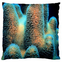 Photo Coral Great Scleractinia Standard Premium Plush Fleece Cushion Case (two Sides)