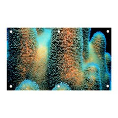 Photo Coral Great Scleractinia Banner And Sign 5  X 3  by Pakjumat