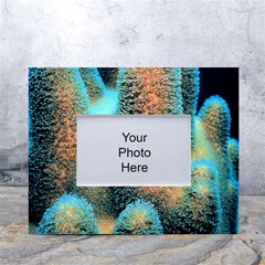 Photo Coral Great Scleractinia White Tabletop Photo Frame 4 x6  by Pakjumat