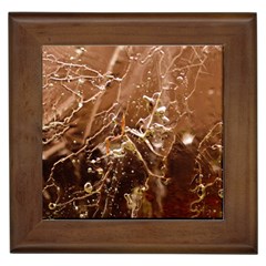 Ice Iced Structure Frozen Frost Framed Tile