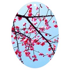 Beautiful Tree Flowers Uv Print Acrylic Ornament Oval by 1212