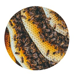 Yellow And Black Bees On Brown And Black Pop Socket (white)