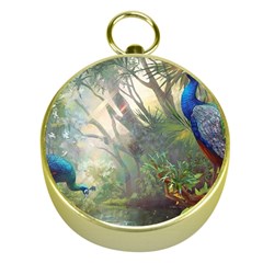 Peafowl Peacock Bird Birds Painting Art Wildlife Gold Compasses