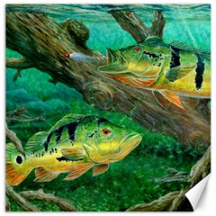 Peacock Bass Fishing Canvas 20  X 20 