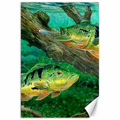 Peacock Bass Fishing Canvas 20  X 30 