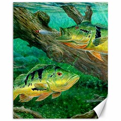 Peacock Bass Fishing Canvas 11  X 14 