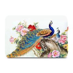 Birds Peacock Artistic Colorful Flower Painting Plate Mats