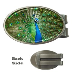 Peafowl Peacock Money Clips (oval)  by Sarkoni