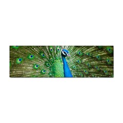 Peafowl Peacock Sticker Bumper (10 Pack) by Sarkoni