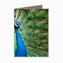Peafowl Peacock Mini Greeting Card by Sarkoni