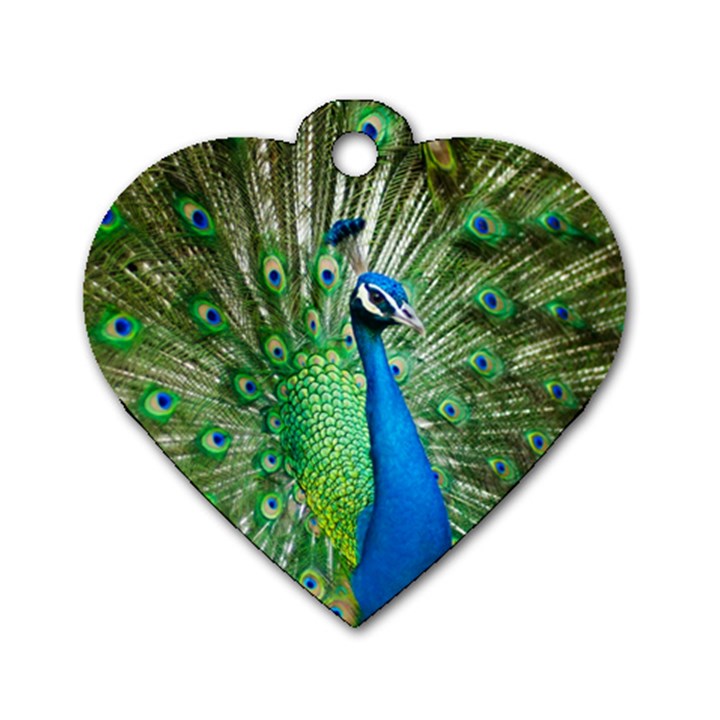 Peafowl Peacock Dog Tag Heart (One Side)