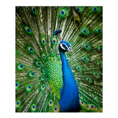 Peafowl Peacock Shower Curtain 60  X 72  (medium) 