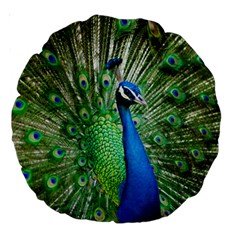 Peafowl Peacock Large 18  Premium Round Cushions