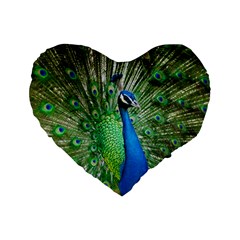 Peafowl Peacock Standard 16  Premium Heart Shape Cushions