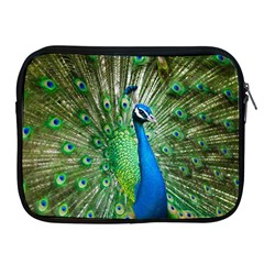 Peafowl Peacock Apple Ipad 2/3/4 Zipper Cases