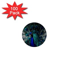 Blue And Green Peacock 1  Mini Buttons (100 pack) 