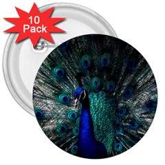 Blue And Green Peacock 3  Buttons (10 pack) 