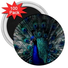 Blue And Green Peacock 3  Magnets (100 pack)
