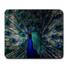 Blue And Green Peacock Large Mousepad