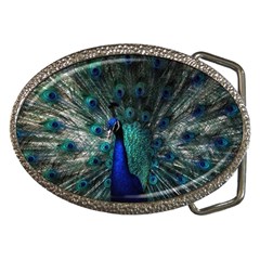 Blue And Green Peacock Belt Buckles