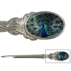 Blue And Green Peacock Letter Opener