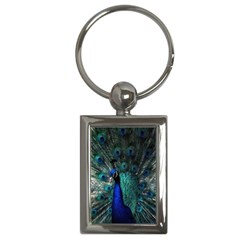 Blue And Green Peacock Key Chain (Rectangle)