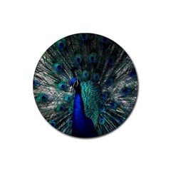 Blue And Green Peacock Rubber Coaster (round) by Sarkoni