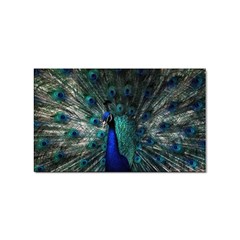 Blue And Green Peacock Sticker (Rectangular)