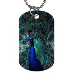 Blue And Green Peacock Dog Tag (One Side)