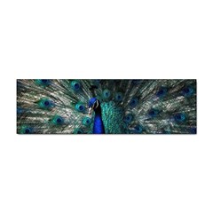 Blue And Green Peacock Sticker Bumper (10 pack)