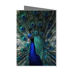 Blue And Green Peacock Mini Greeting Cards (Pkg of 8)