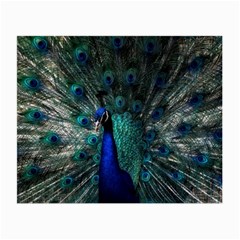 Blue And Green Peacock Small Glasses Cloth