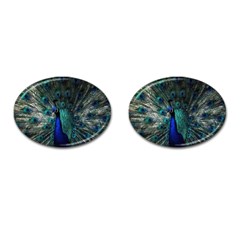 Blue And Green Peacock Cufflinks (oval)