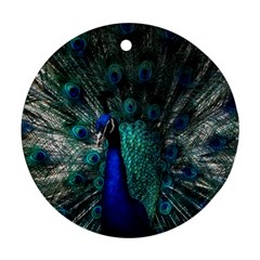 Blue And Green Peacock Round Ornament (Two Sides)