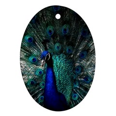 Blue And Green Peacock Oval Ornament (Two Sides)