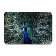 Blue And Green Peacock Small Doormat by Sarkoni