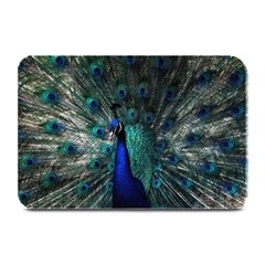 Blue And Green Peacock Plate Mats