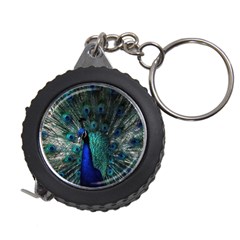 Blue And Green Peacock Measuring Tape by Sarkoni