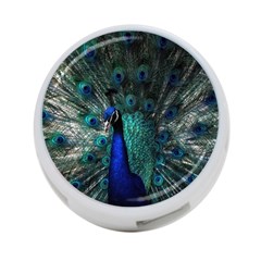 Blue And Green Peacock 4-Port USB Hub (Two Sides)