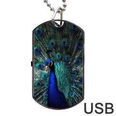 Blue And Green Peacock Dog Tag Usb Flash (two Sides)