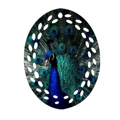 Blue And Green Peacock Oval Filigree Ornament (Two Sides)